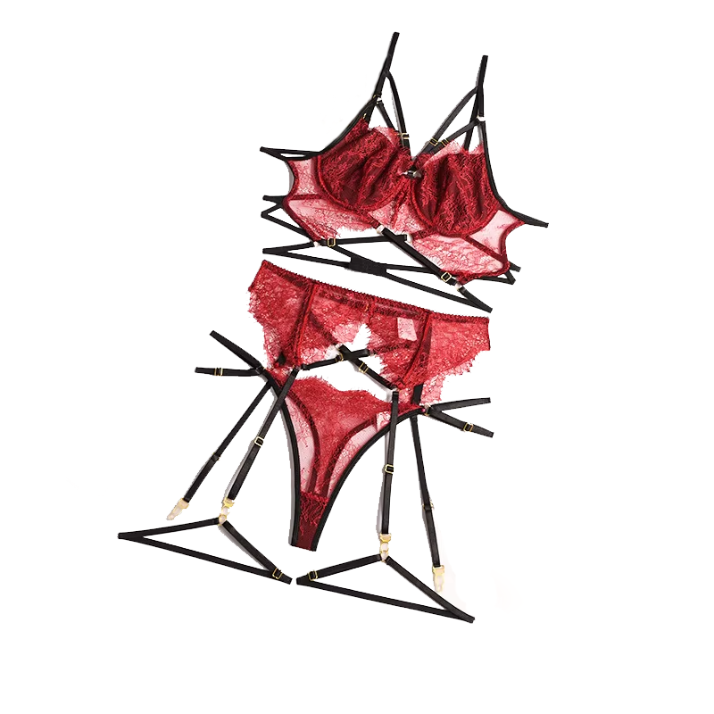 New Lace Sexy Lingerie Transpa - đánh giá và giá Sheer Bra Lace